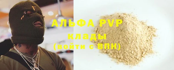 прущие крисы Верея