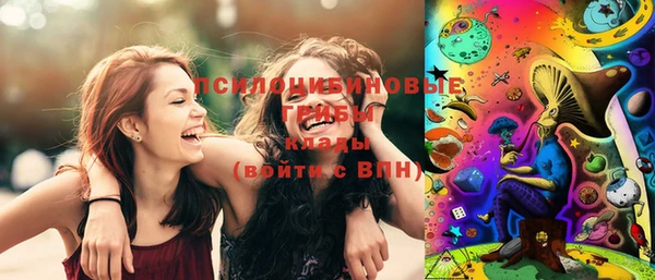 шишки Верхнеуральск