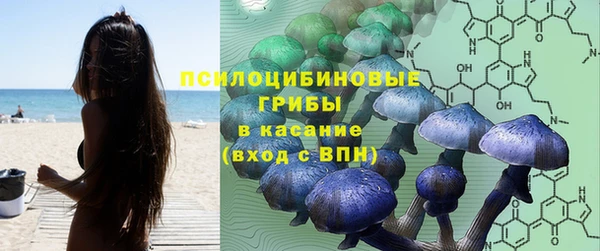 прущие крисы Верея