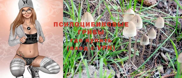 шишки Верхнеуральск