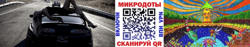 Галлюциногенные грибы Cubensis  Купить закладки  Кушва 